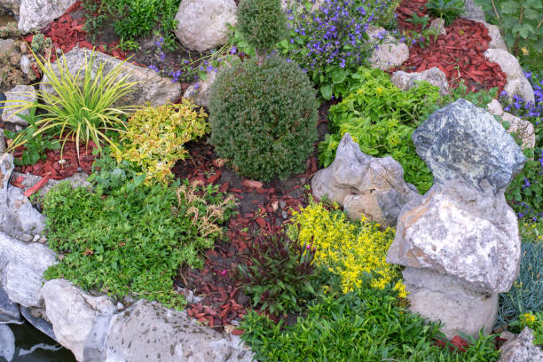 Detail of the ornamental garden in summer.
