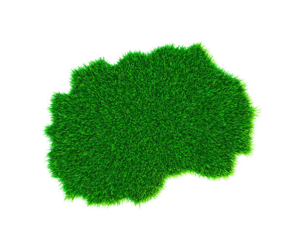 istock Grass map of Macedonia, isolated on white 1273221935