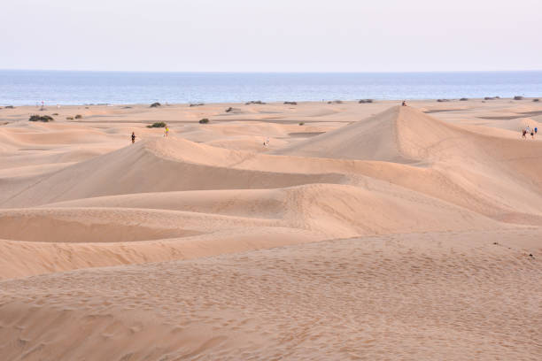 istock Desert with sand dunes in Gran Canaria Spain 1273222858