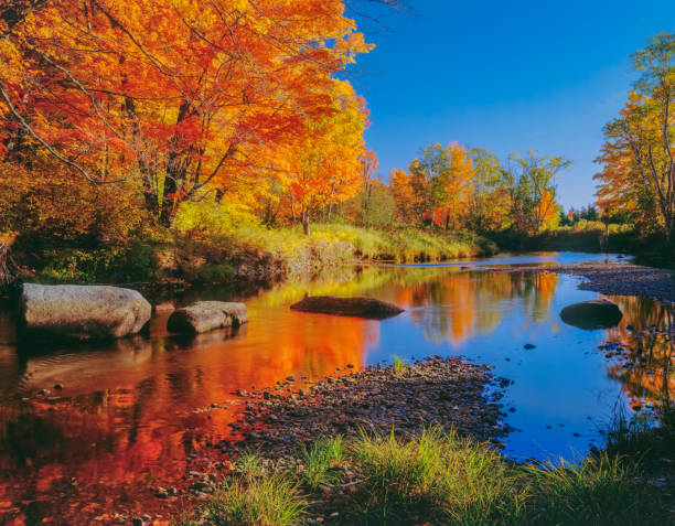 new england autumn countryside with reflections in the wells river vermont - deciduous tree fotos imagens e fotografias de stock