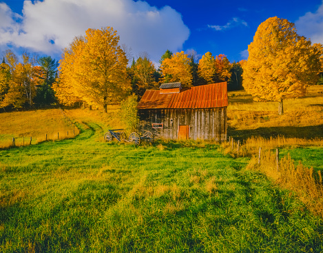 Rustic Sugar House in green meadow with Fall Maples surrounding it. An old wagon sits next to the sugar house in East Corinth, Vermont.