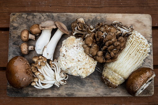 Several varieties of Fungi or Mushrooms freshly picked and laid out on a wooden board.