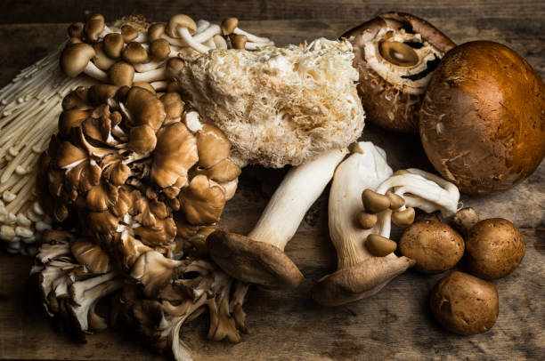 istock Various types of Mushrooms on a wood board 1273224695