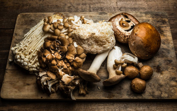 istock Various types of Mushrooms on a wood board 1273224697