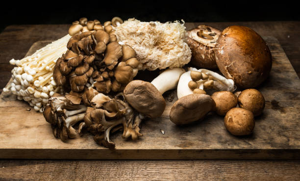 istock Various types of Mushrooms on a wood board 1273224700