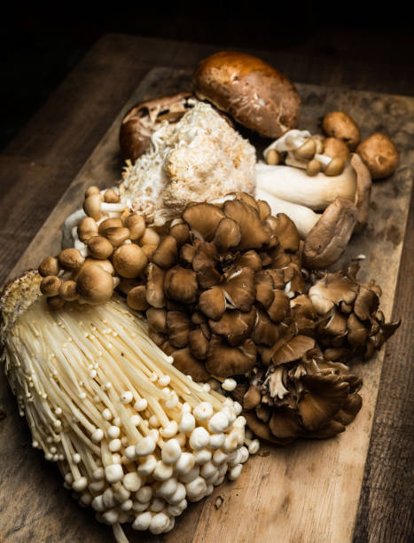 istock Various types of Mushrooms on a wood board 1273224701