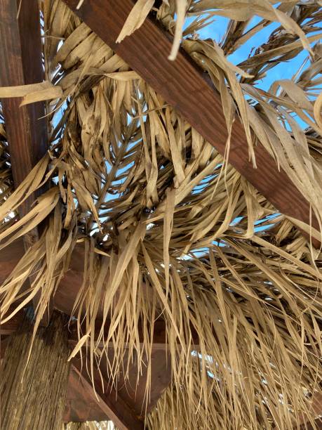 istock Runaway beach coconut thatched roof in Antigua 1273226193