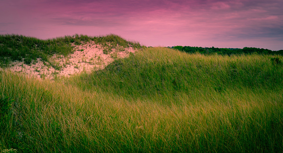 Sunset landscape over the green sand dune at the seashore in Falmouth in Massachusetts, USA.