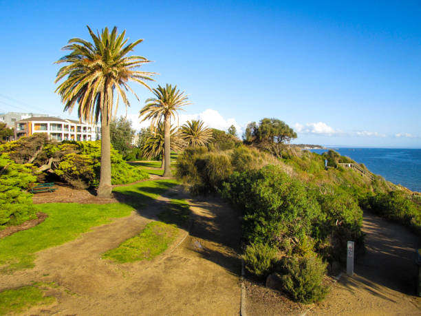 istock View of Sandringham Beach Park with trees and footpath 1273239378