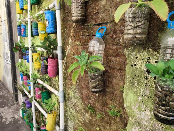 istock Plants lined the walls beautifully 1273240444