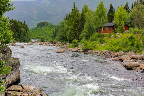 istock Flowing beautiful river lake Hemsila with mountain panorama in Norway. 1273249274