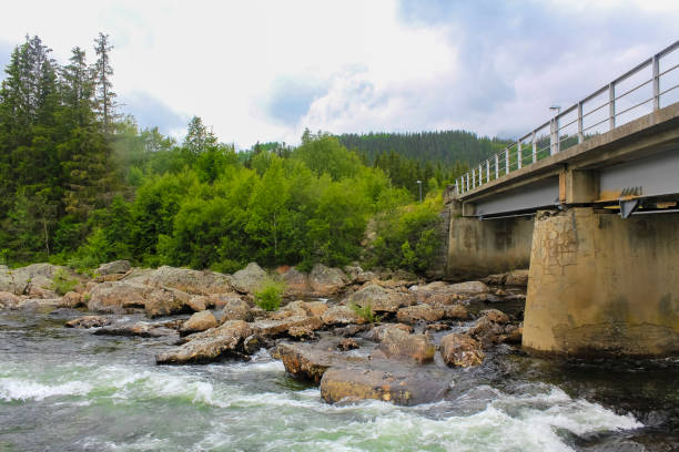 istock Flowing beautiful river lake Hemsila with Skogstad bru in Norway. 1273249326