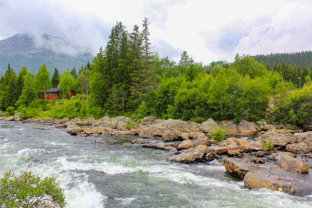 istock Flowing beautiful river lake Hemsila with mountain panorama in Norway. 1273249333