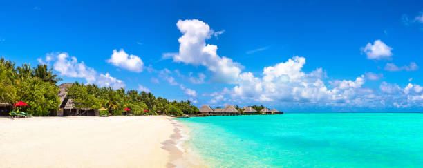 istock Tropical beach in the Maldives 1273249345