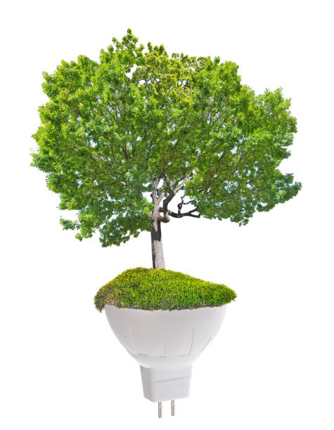 istock concept with modern led lamp and green tree isolated on white 1273249492