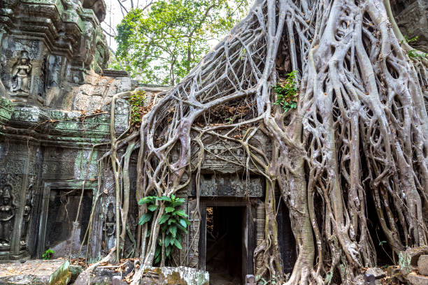 istock Ta Prohm temple in Angkor Wat 1273249561