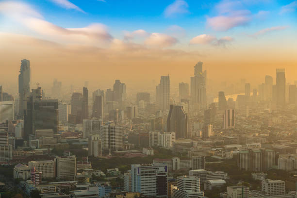 istock Aerial view of Bangkok 1273250766