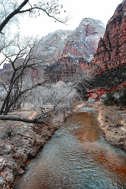istock Zion National Park Utah 1273251335