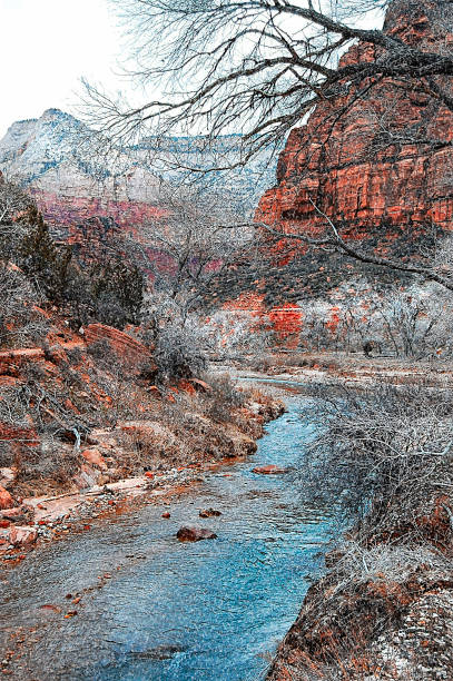 istock Zion National Park Utah 1273251343