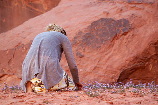 A blonde woman tourist is on her knees exploring and picking desert flowers that bloomed in spring at wadi Rum desert. She wears a skirt and is bare foot on red sand.