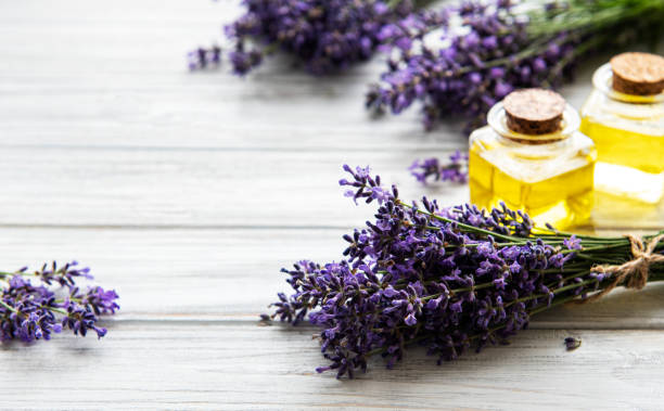 istock Fresh lavender flowers  and essential oils 1273253784