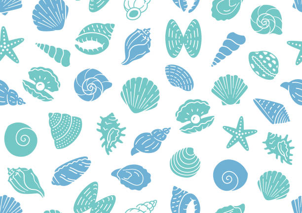 貝殻のシームレスなパターン。ベクターの背景には、海の貝殻、ホタテ、ヒトデ、アサリ、カキ、布のための航海の質感としてのシルエットアイコンが含まれていました。白、青、ターコイ� - pattern design element backgrounds shell点のイラスト素材／クリップアート素材／マンガ素材／アイコン素材