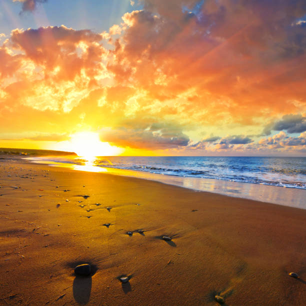 istock sandy sea beach at the sunset 1273262101