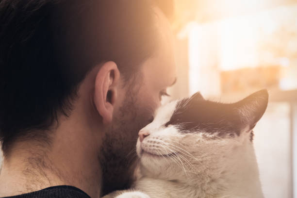 istock A black and white cat cuddled by a beard man with warm sunlight 1273262710