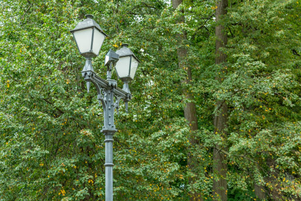 istock Vintage black iron street lamp 1273263654