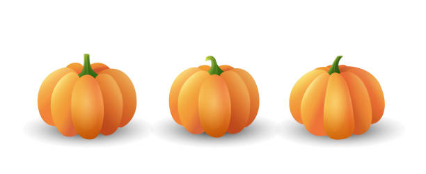 istock Set of beautiful vector orange pumpkins isolated on white background 1273265747