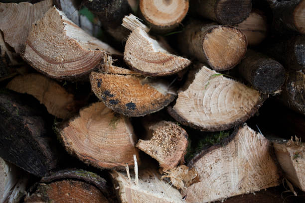 istock A pile of old wood 1273267199