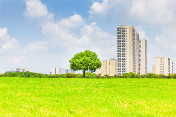 istock Lawn and city skyline under blue sky and white clouds 1273267273