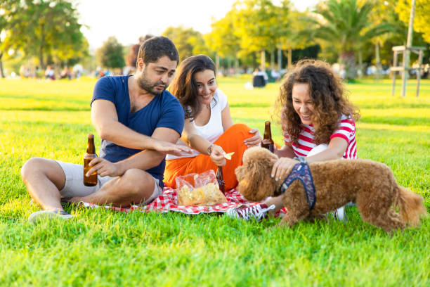 istock Three friends sitting on the grass in the park 1273269684