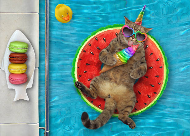 istock Caticorn with ice cream rests in pool 1273273415