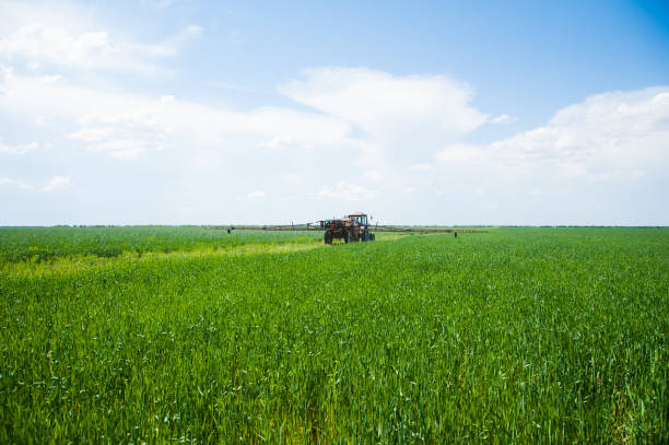 istock Tractor spraying wheat field with sprayer 1273274650
