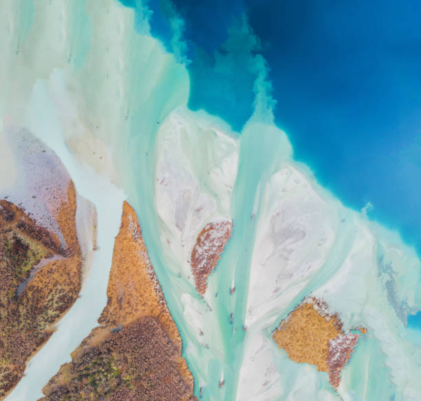 istock Aerial view of river flowing into lake. 1273275635