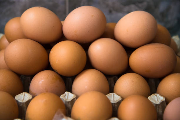 istock Poultry farm. Modern farming. Fresh brown eggs on a transportation line 1273275898