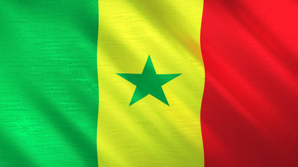 istock Fluttering flag of Senegal Shine, metallic texture. 3D illustration. 1273276227