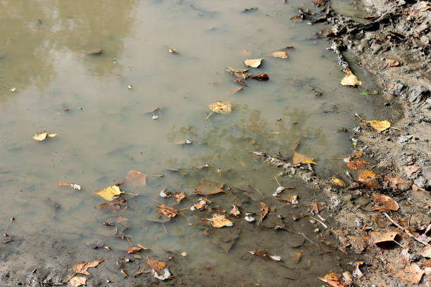 istock Autumn mud puddle off road with yellow fallen leaves 1273277908