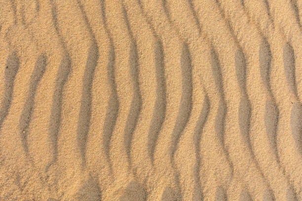 istock Wavy sea sand background, top view 1273278790