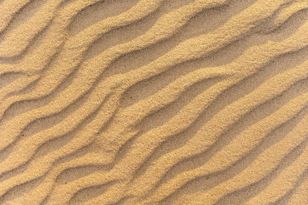 istock Wavy sea sand background, top view 1273278791