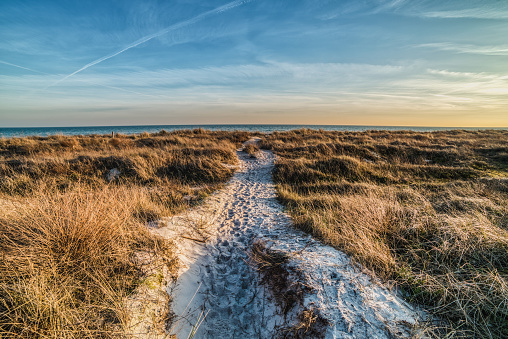 Schiermonnikoog panoramic view in the dunes with the lighthouse during sunset at the wadden island during a beautiful winter day. Schiermonnikoog is part of the Frisian Wadden Islands and is known for its beautiful natural scenery, including sandy beaches, rolling dunes, and lush wetlands.