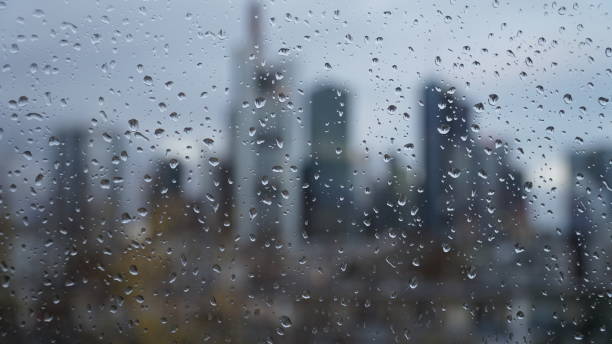 istock Frankfurt city skyline in winter 1273283393