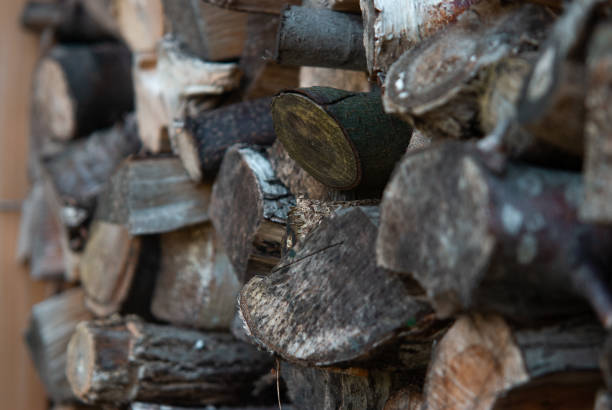 legna da ardere tritata messa alla gogna pronta per il camino - pilled foto e immagini stock