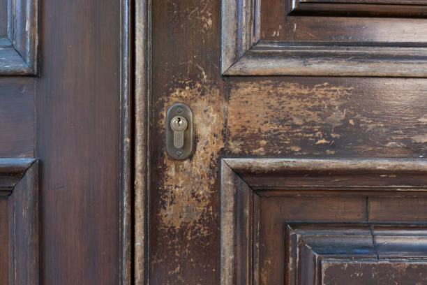 istock Door lock on wooden door 1273285226