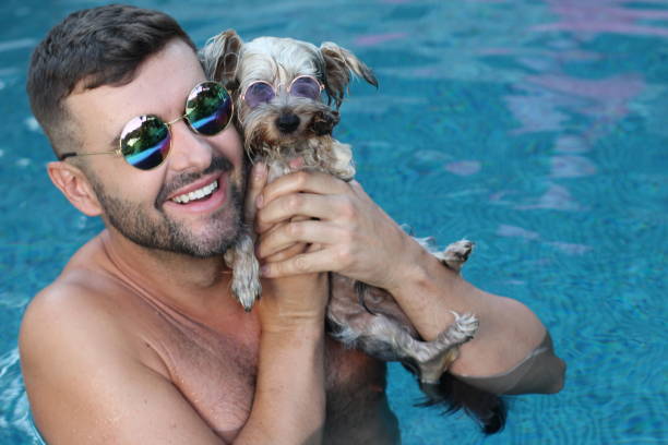 homem com seu cachorro na piscina - underwater dog adult happiness - fotografias e filmes do acervo