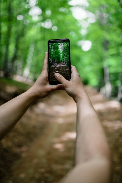 istock Female Hiker Photographing Idyllic Forest View On Footpath 1273286492