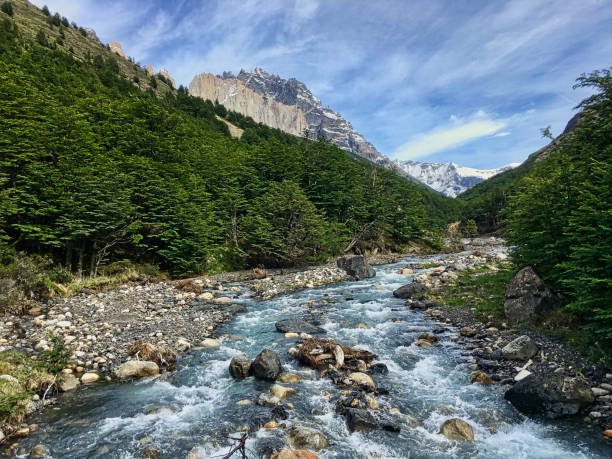 istock Trecking in Patagonia - Argentina 1273286959