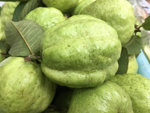 istock Guara fruit, north of Thailand 1273289609