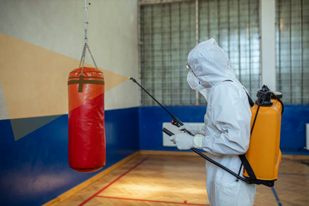 istock Man in protective suit disinfecting school building 1273291189